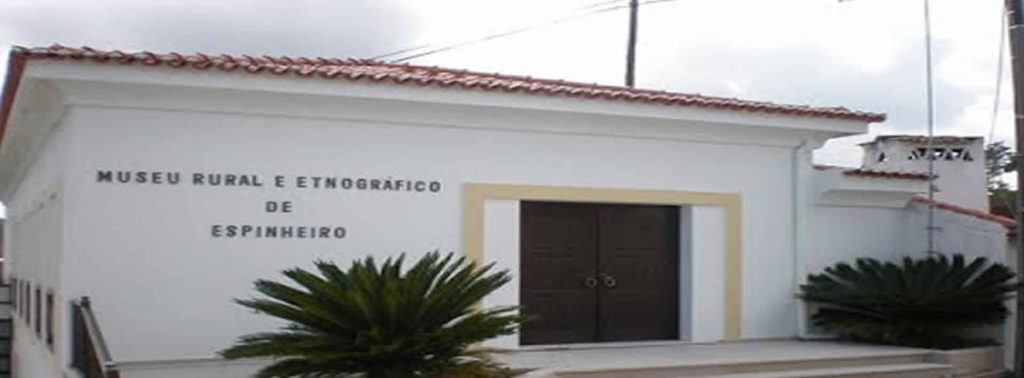 Banner 1